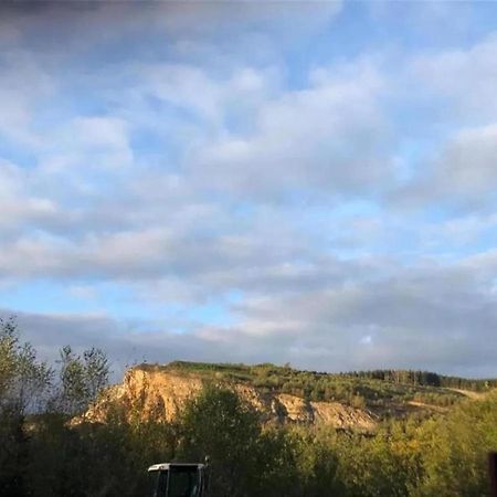 Magnificent Apartment In Willingen With Balcony エクステリア 写真