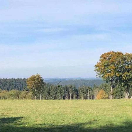 Magnificent Apartment In Willingen With Balcony エクステリア 写真