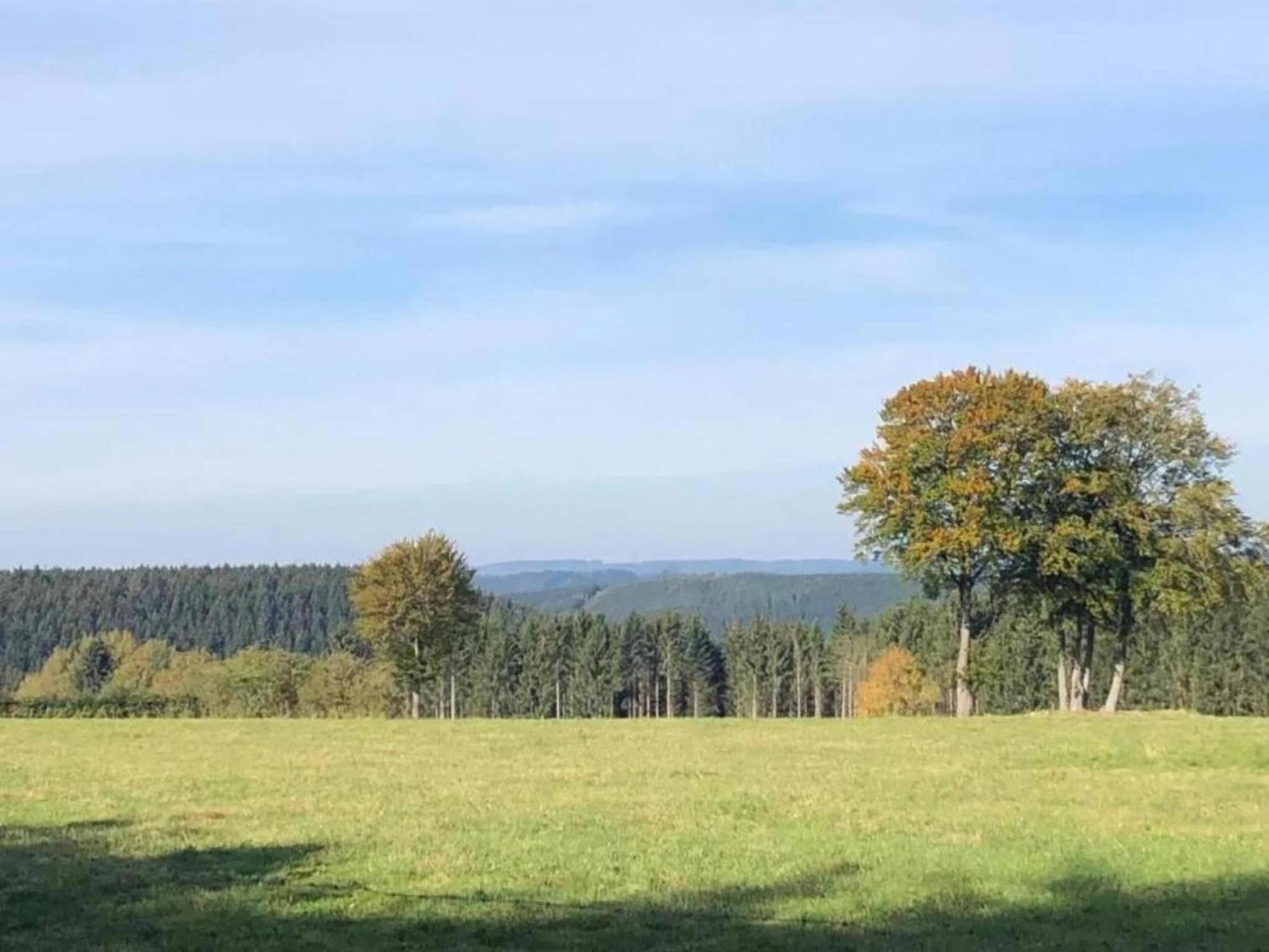 Magnificent Apartment In Willingen With Balcony エクステリア 写真